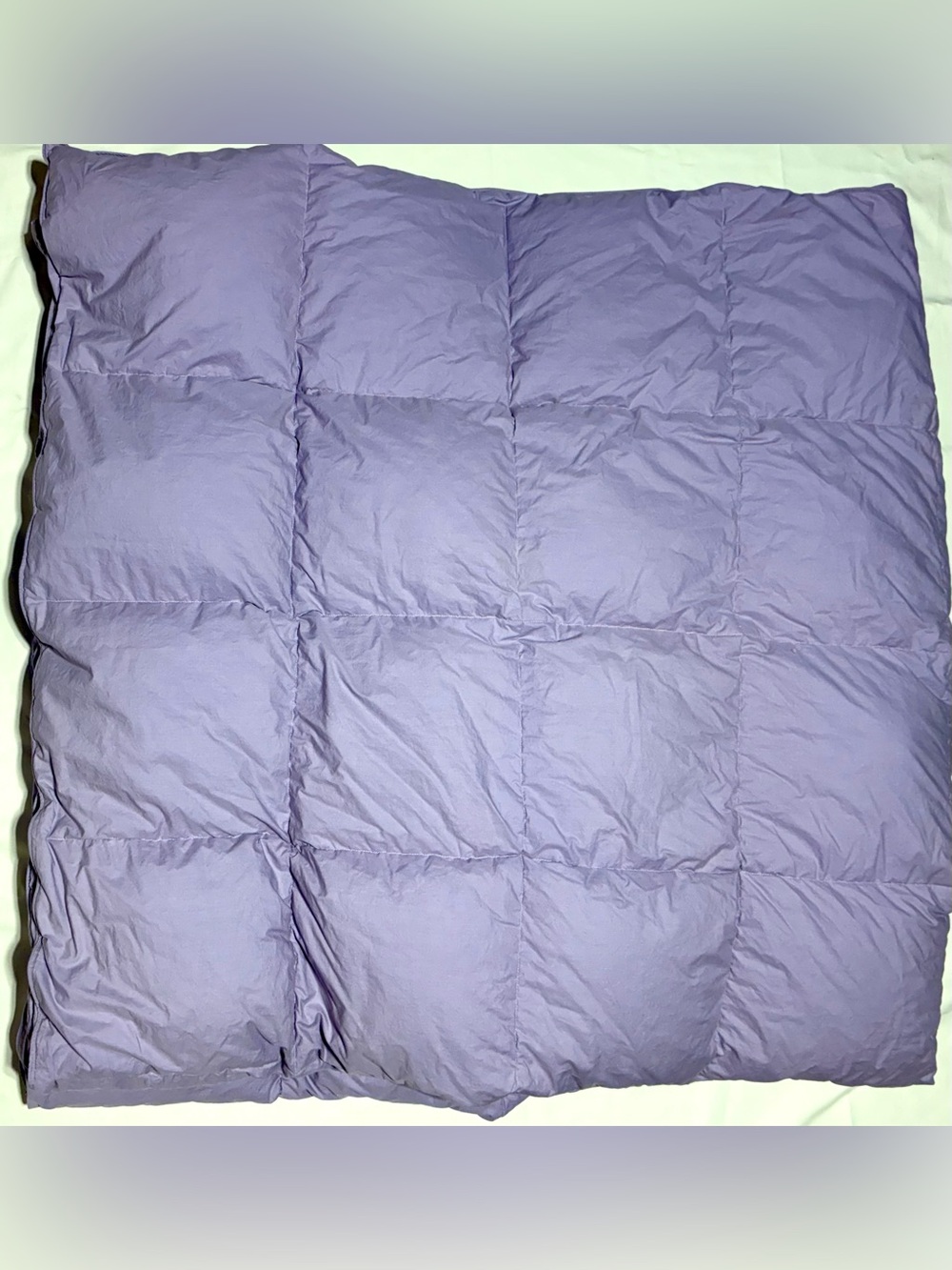 The Company Store Lacrosse King Premium White Goose Down Comforter Duvet Purple